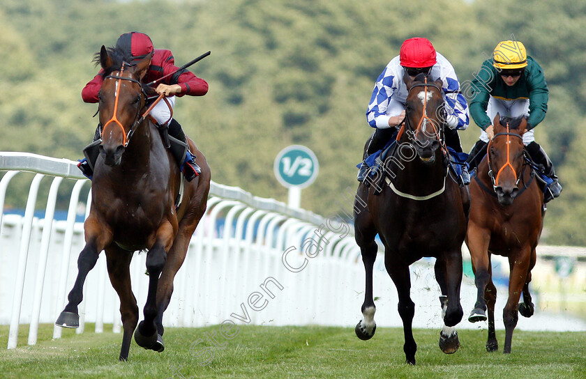 Rogue-0003 
 ROGUE (Thore Hammer Hansen) beats LOS CAMACHOS (2nd right) in The coral.co.uk Handicap
Sandown 7 Jul 2018 - Pic Steven Cargill / Racingfotos.com