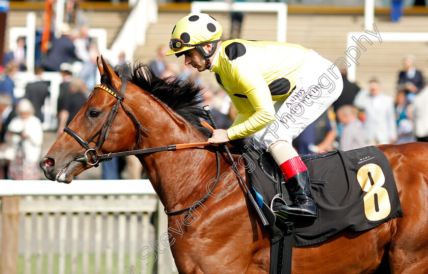 Subastar-0002 
 SUBASTAR (Andrea Atzeni) winner of The British Stallion Studs EBF Maiden Stakes
Newmarket 23 Sep 2021 - Pic Steven Cargill / Racingfotos.com