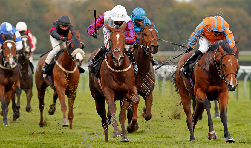 Balancing-Act-0003 
 BALANCING ACT (left, Jack Garritty) beats CHARLES LE BRUN (right) in The Download The Mansionbet App Handicap Div2
Nottingham 14 Oct 2020 - Pic Steven Cargill / Racingfotos.com