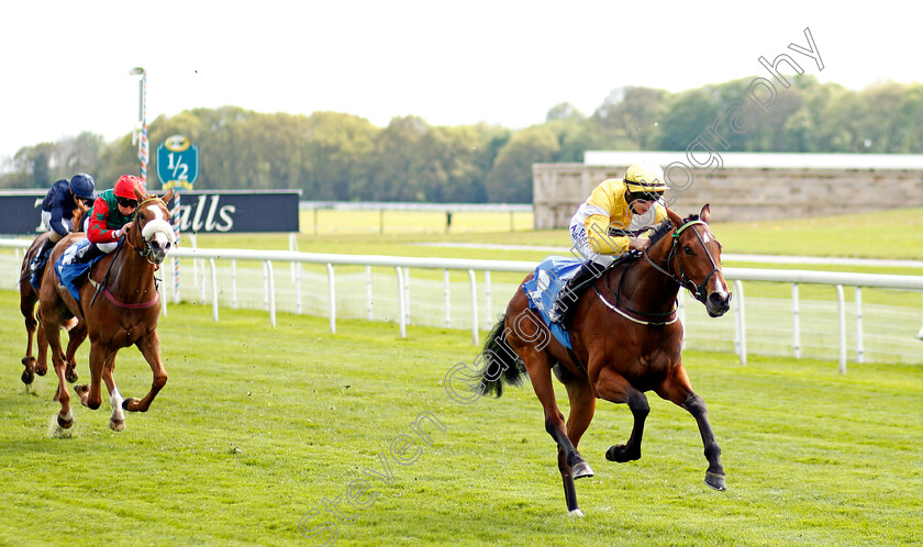 Wobwobwob-0002 
 WOBWOBWOB (Tom Marquand) wins The Sky Bet Handicap
York 12 May 2021 - Pic Steven Cargill / Racingfotos.com