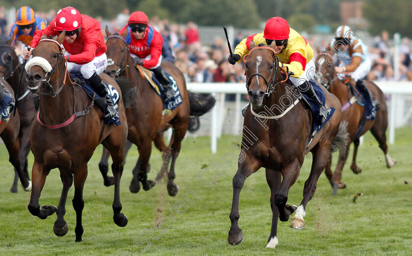 Alpha-Delphini-0004 
 ALPHA DELPHINI (right, Graham Lee) beats MABS CROSS (left) in The Coolmore Nunthorpe Stakes
York 24 Aug 2018 - Pic Steven Cargill / Racingfotos.com