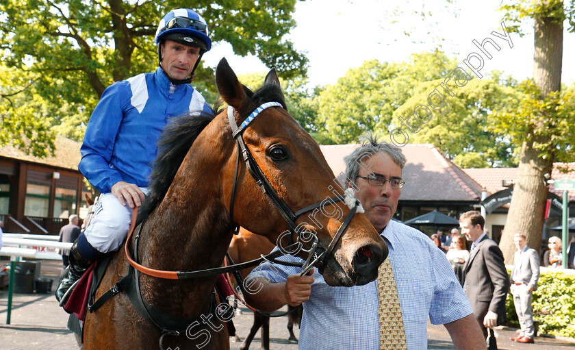 Battaash-0009 
 BATTAASH (Dane O'Neill) after The Armstrong Aggregates Temple Stakes
Haydock 26 May 2018 - Pic Steven Cargill / Racingfotos.com