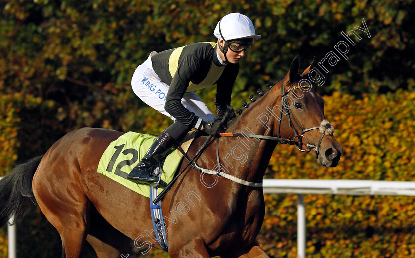 Reticent 
 RETICENT (William Cox)
Kempton 10 Nov 2021 - Pic Steven Cargill / Racingfotos.com