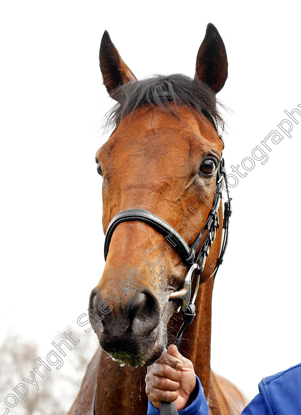 Master-Of-The-Seas-0007 
 MASTER OF THE SEAS winner of The bet365 Earl Of Sefton Stakes
Newmarket 12 Apr 2022 - Pic Steven Cargill / Racingfotos.com