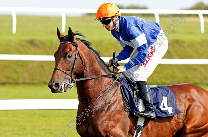 Rigoletto-0002 
 RIGOLETTO (Jamie Spencer) winner of The Reecer Poertable Buildings Handicap Chepstow 6 Sep 2017 - Pic Steven Cargill / Racingfotos.com