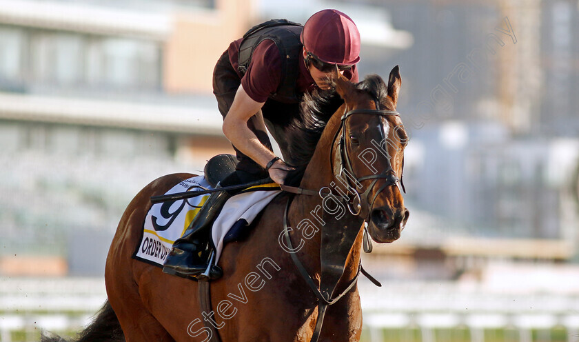 Order-Of-Australia-0001 
 ORDER OF AUSTRALIA training for The Dubai Turf
Meydan, Dubai, 22 Mar 2023 - Pic Steven Cargill / Racingfotos.com