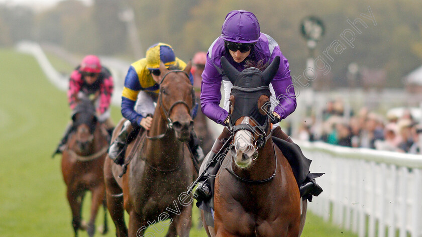 Atalanta s-Boy-0005 
 ATALANTA'S BOY (Thomas Greatrex) wins The Birra Moretti Handicap
Goodwood 25 Sep 2019 - Pic Steven Cargill / Racingfotos.com