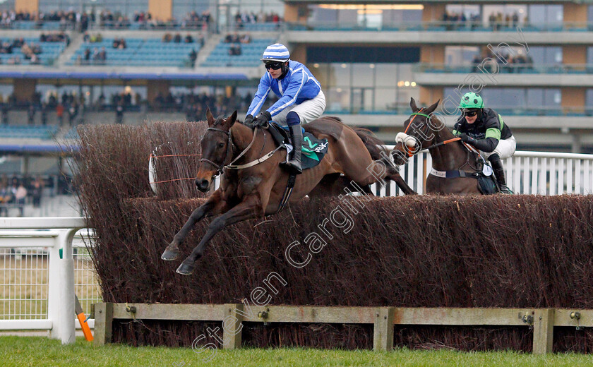 Energumene-0006 
 ENERGUMENE (Paul Townend)
Ascot 22 Jan 2022 - Pic Steven Cargill / Racingfotos.com