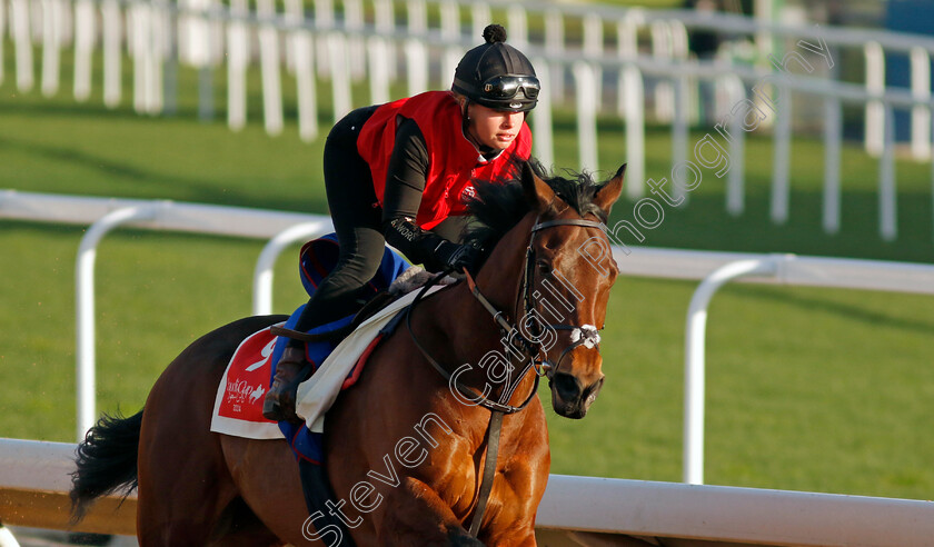 Enemy-0002 
 ENEMY training for The Red Sea Turf Handicap
King Abdulaziz Racecourse, Saudi Arabia 21 Feb 2024 - Pic Steven Cargill / Racingfotos.com