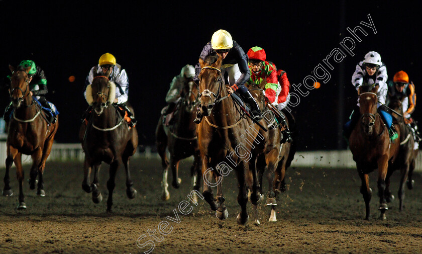 Ply-0008 
 PLY (Kieran Shoemark) wins The 100% Profit Boost At 32Redsport.com Handicap Kempton 4 Oct 2017 - Pic Steven Cargill / Racingfotos.com