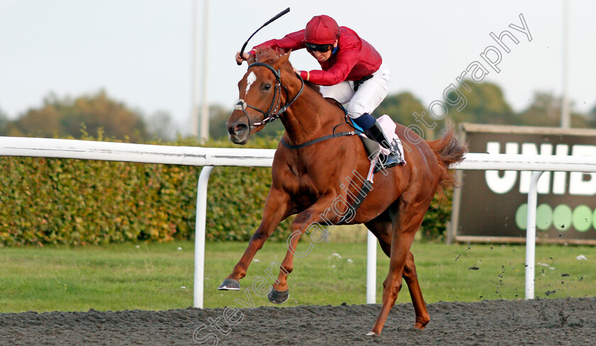 Maximum-Effect-0002 
 MAXIMUM EFFECT (Nicky Mackay) wins The Close Brothers Business Finance Maiden Fillies Stakes
Kempton 9 Oct 2019 - Pic Steven Cargill / Racingfotos.com