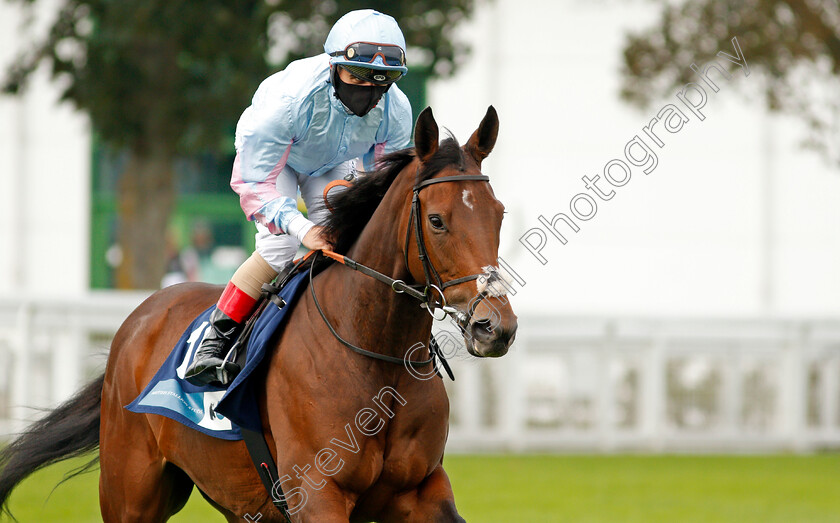 Stylistique-0001 
 STYLISTIQUE (Andrea Atzeni)
Yarmouth 16 Sep 2020 - Pic Steven Cargill / Racingfotos.com