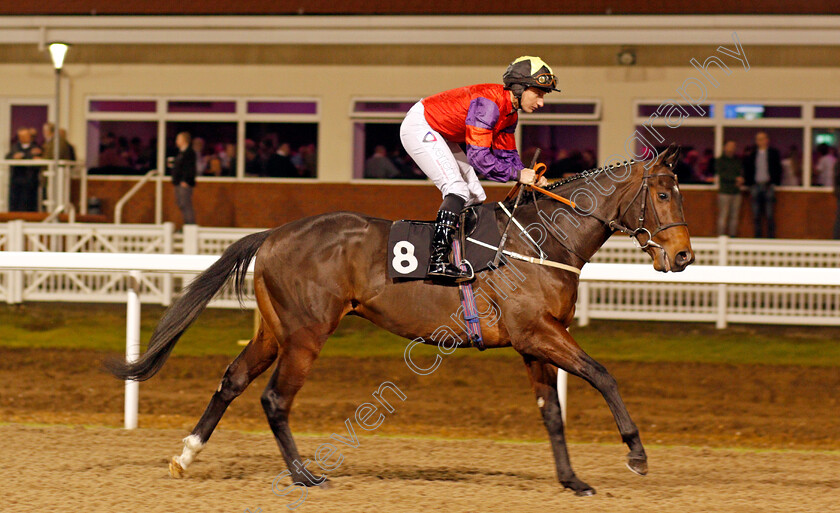 The-British-Lion-0001 
 THE BRITISH LION (P J McDonald) Chelmsford 21 Dec 2017 - Pic Steven Cargill / Racingfotos.com