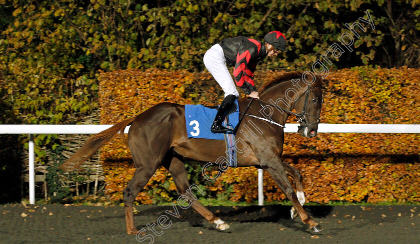 Lapses-Linguae-0001 
 LAPSES LINGUAE (James Doyle)
Kempton 20 Nov 2019 - Pic Steven Cargill / Racingfotos.com