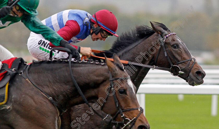 Mulcahys-Hill-0005 
 MULCAHYS HILL (A P Heskin) wins The Matchbook Most Trusted Betting Exchange Novices Chase
Cheltenham 25 Oct 2019 - Pic Steven Cargill / Racingfotos.com