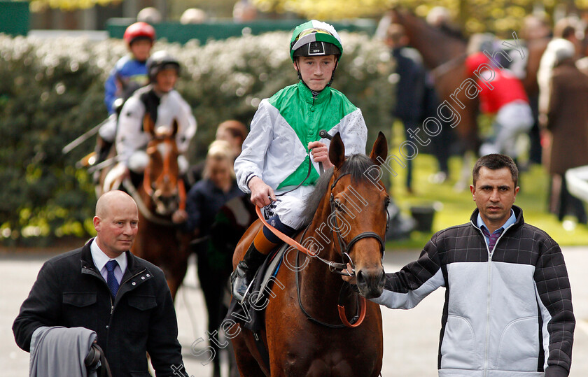 Mountain-Angel-0009 
 MOUNTAIN ANGEL (David Egan) after The Manny Mercer Apprentice Handicap Ascot 2 May 2018 - Pic Steven Cargill / Racingfotos.com