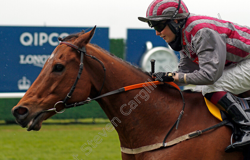 Pettochside-0008 
 PETTOCHSIDE (Saffie Osborne) wins The Great Racing Welfare Cycle Handicap
Ascot 28 Apr 2021 - Pic Steven Cargill / Racingfotos.com