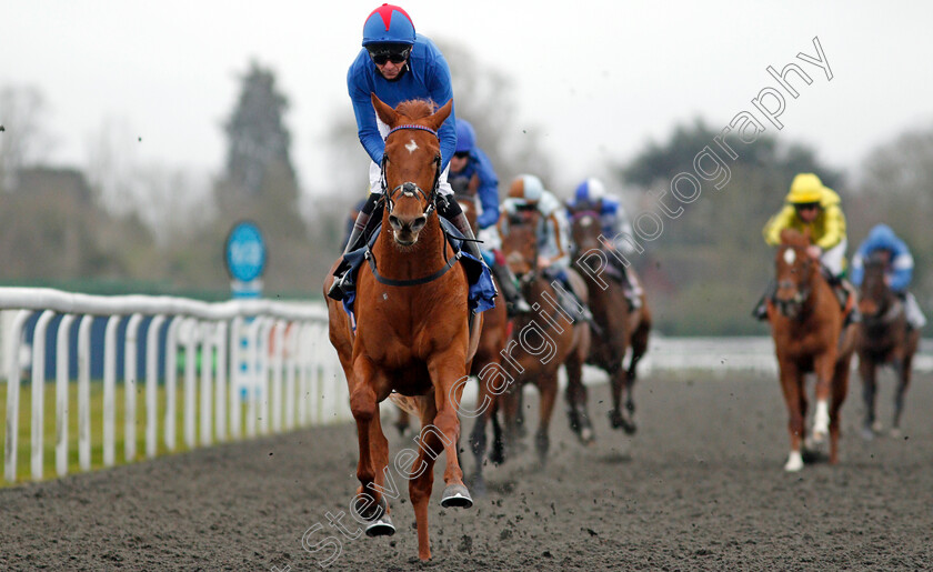 Kestenna-0006 
 KESTENNA (Robert Havlin) wins The Unibet Casino Deposit £10 Get £40 Bonus Fillies Novice Stakes
Kempton 16 Feb 2021 - Pic Steven Cargill / Racingfotos.com