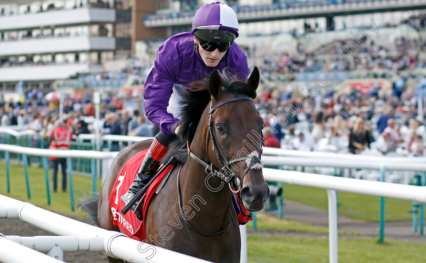 Benevento-0003 
 BENEVENTO (David Egan) winner of The Betfred Flying Scotsman Stakes
Doncaster 13 Sep 2024 - Pic Steven Cargill / Racingfotos.com