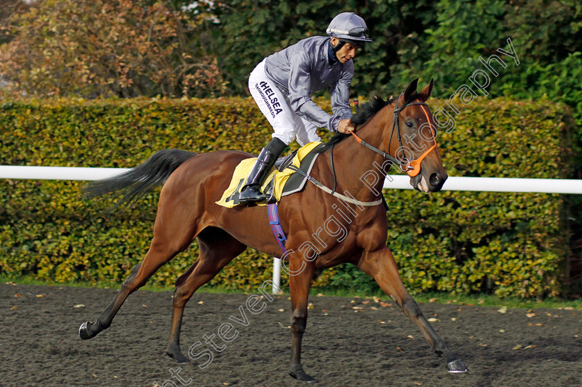 Guns-Drawn-0001 
 GUNS DRAWN (Sean Levey) Kempton 4 Oct 2017 - Pic Steven Cargill / Racingfotos.com