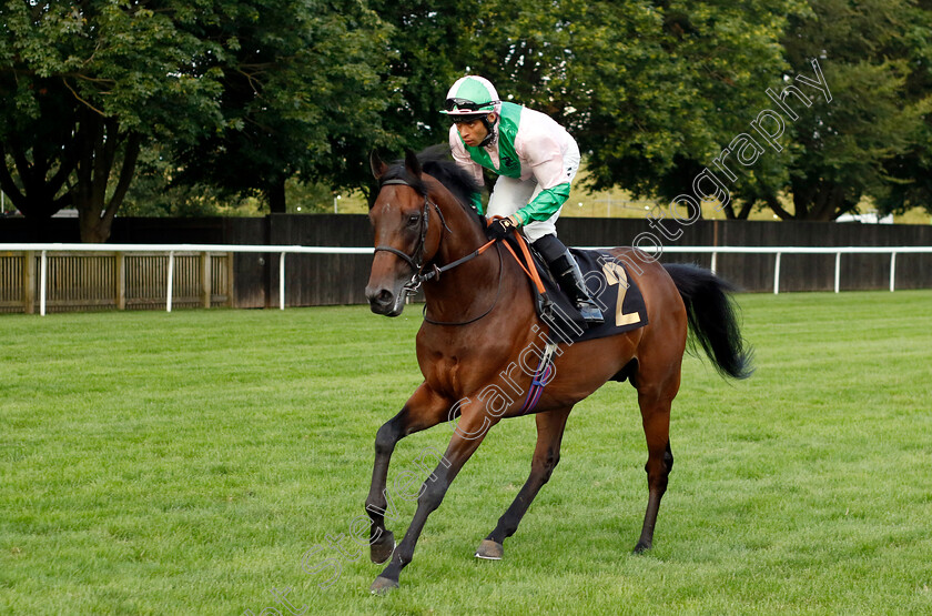 Highland-Song-0001 
 HIGHLAND SONG (Sean Levey)
Newmarket 28 Jul 2023 - Pic Steven Cargill / Racingfotos.com