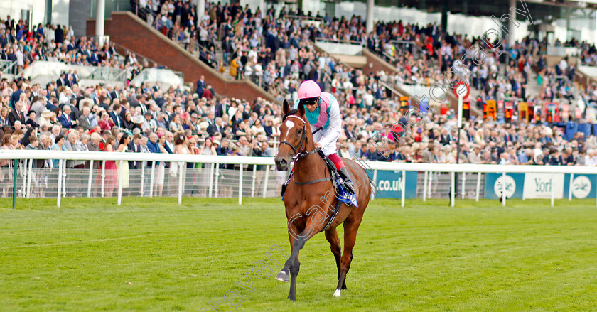 Enable-0003 
 ENABLE (Frankie Dettori) before The Darley Yorkshire Oaks
York 22 Aug 2019 - Pic Steven Cargill / Racingfotos.com