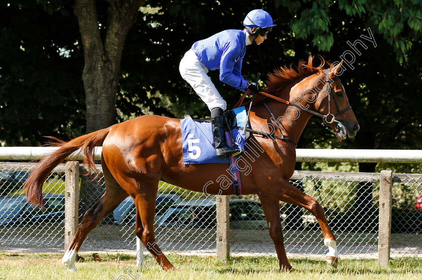 Recordman-0002 
 RECORDMAN (Graham Lee) 
Pontefract 10 Jul 2018 - Pic Steven Cargill / Racingfotos.com