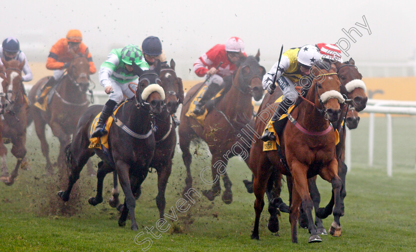 Dakota-Gold-0001 
 DAKOTA GOLD (Paul Mulrennan) wins The Betfair Wentworth Stakes
Doncaster 7 Nov 2020 - Pic Steven Cargill / Racingfotos.com