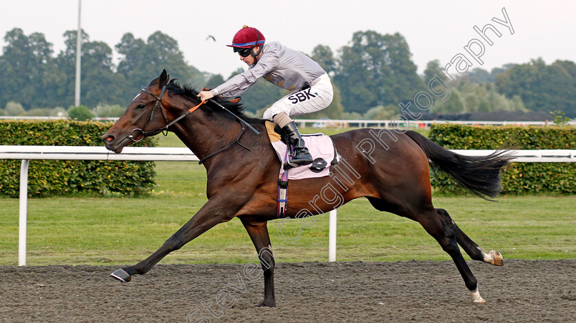 Migdam-0004 
 MIGDAM (Richard Kingscote) wins The Unibet British Stallion Studs EBF Restricted Novice Stakes
Kempton 3 Sep 2021 - Pic Steven Cargill / Racingfotos.com