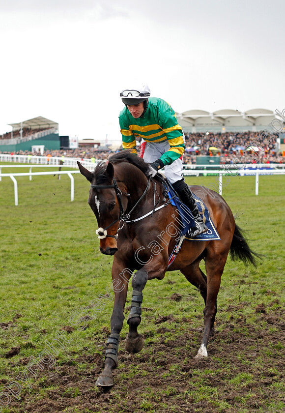 Edwulf-0001 
 EDWULF (Derek O'Connor) Cheltenham 16 Mar 2018 - Pic Steven Cargill / Racingfotos.com