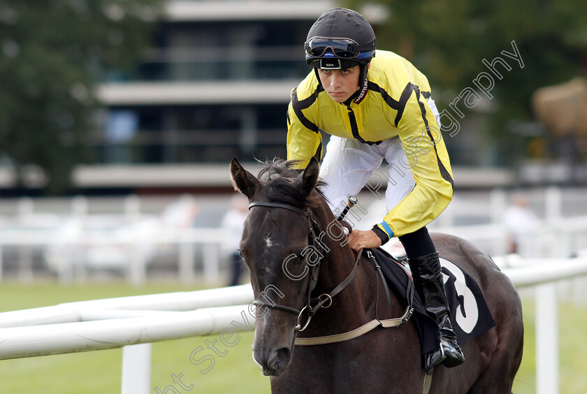 Chynna-0001 
 CHYNNA (Scott McCullagh)
Newbury 17 Aug 2018 - Pic Steven Cargill / Racingfotos.com