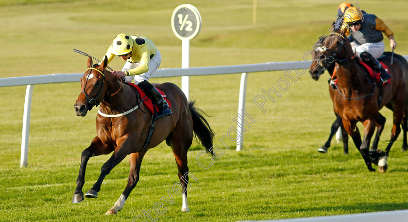 Elite-Status-0008 
 ELITE STATUS (Clifford Lee) wins The Racehorse Lotto National Stakes
Sandown 25 May 2023 - Pic Steven Cargill / Racingfotos.com