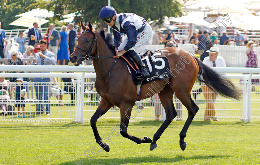 Celandine-0001 
 CELANDINE (Tom Marquand)
Goodwood 31 Jul 2024 - Pic Steven Cargill / Racingfotos.com