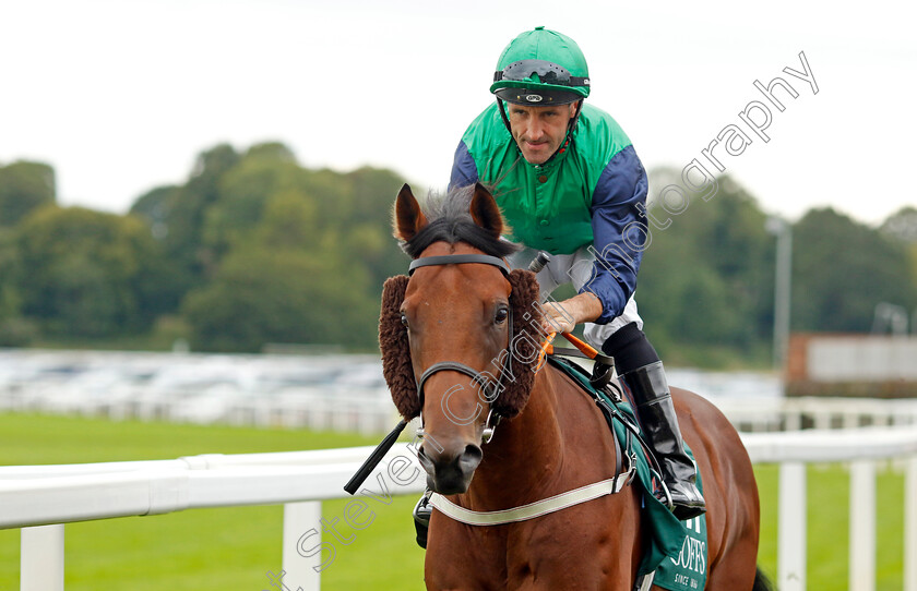 Stanley-Spencer-0001 
 STANLEY SPENCER (Neil Callan)
York 24 Aug 2023 - Pic Steven Cargill / Racingfotos.com