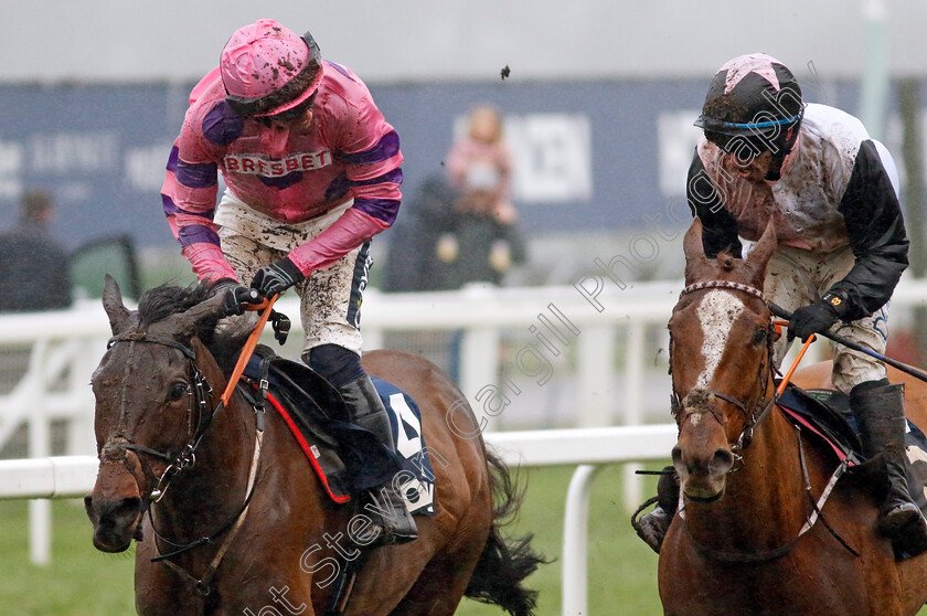 Crambo-0003 
 CRAMBO (left, Jonathan Burke) beats HIDDENVALLEY LAKE (right) in The Howden Long Walk Hurdle
Ascot 21 Dec 2024 - Pic Steven Cargill / Racingfotos.com