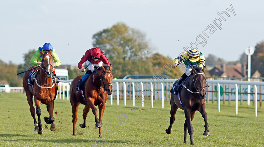 Midnights-Legacy-0003 
 MIDNIGHTS LEGACY (Tom Marquand) beats HERMAN HESSE (2nd left) and SALAMANCA SCHOOL (left) in The Download The Star Sports App Now EBF Novice Stakes
Bath 16 Oct 2019 - Pic Steven Cargill / Racingfotos.com