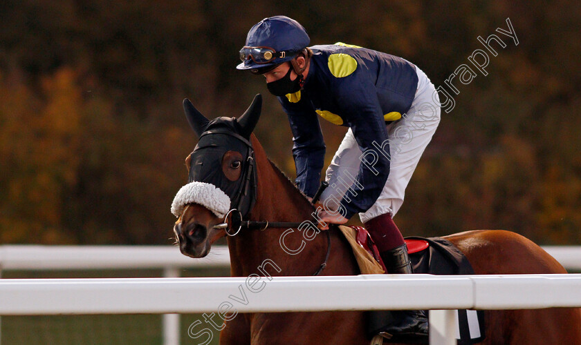 Sorteo-0001 
 SORTEO (Rob Hornby)
Chelmsford 22 Oct 2020 - Pic Steven Cargill / Racingfotos.com