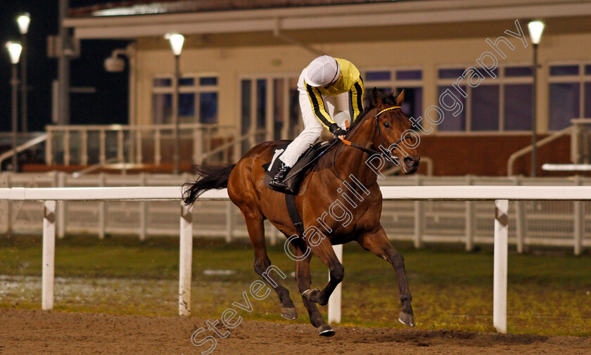 Father-Of-Jazz-0006 
 FATHER OF JAZZ (Callum Shepherd) wins The Racing Welfare Novice Stakes
Chelmsford 14 Jan 2021 - Pic Steven Cargill / Racingfotos.com