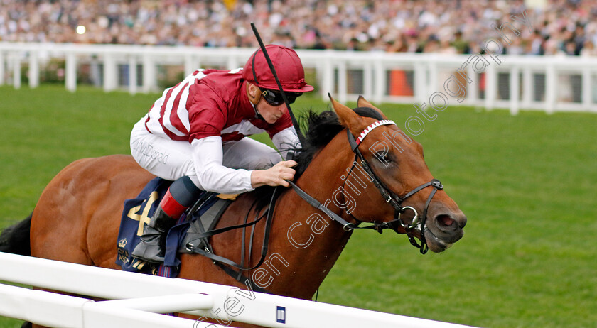 Missed-The-Cut-0002 
 MISSED THE CUT (James McDonald) wins The Golden Gates Stakes
Royal Ascot 18 Jun 2022 - Pic Steven Cargill / Racingfotos.com