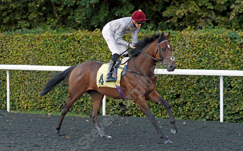 Hlaitan-0001 
 HLAITAN (James Doyle)
Kempton 2 Oct 2019 - Pic Steven Cargill / Racingfotos.com