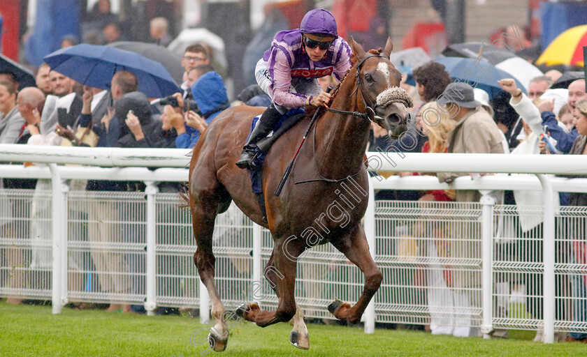 The-Goat-0002 
 THE GOAT (Jason Watson) wins The Coral Handicap
Goodwood 2 Aug 2023 - Pic Steven Cargill / Racingfotos.com