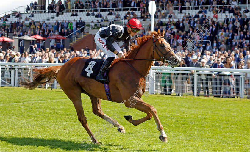 Montassib-0004 
 MONTASSIB (Tom Marquand) wins The William Hill Pick Your Places Handicap
Goodwood 20 May 2022 - Pic Steven Cargill / Racingfotos.com