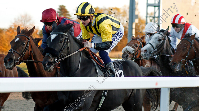 Livia-The-Empress-0007 
 LIVIA THE EMPRESS (David Probert)
Chelmsford 22 Oct 2020 - Pic Steven Cargill / Racingfotos.com