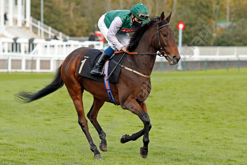 Kryptos-0002 
 KRYPTOS (William Buick)
Nottingham 14 Oct 2020 - Pic Steven Cargill / Racingfotos.com