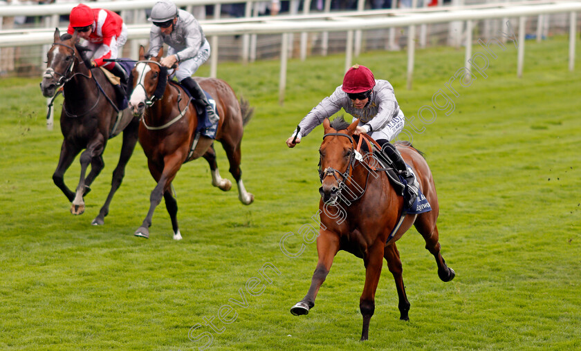 Lusail-0004 
 LUSAIL (Pat Dobbs) wins The Al Basti Equiworld Gimcrack Stakes
York 20 Aug 2021 - Pic Steven Cargill / Racingfotos.com