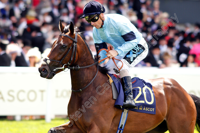 Snazzy-0001 
 SNAZZY (Stevie Donohoe)
Royal Ascot 20 Jun 2018 - Pic Steven Cargill / Racingfotos.com