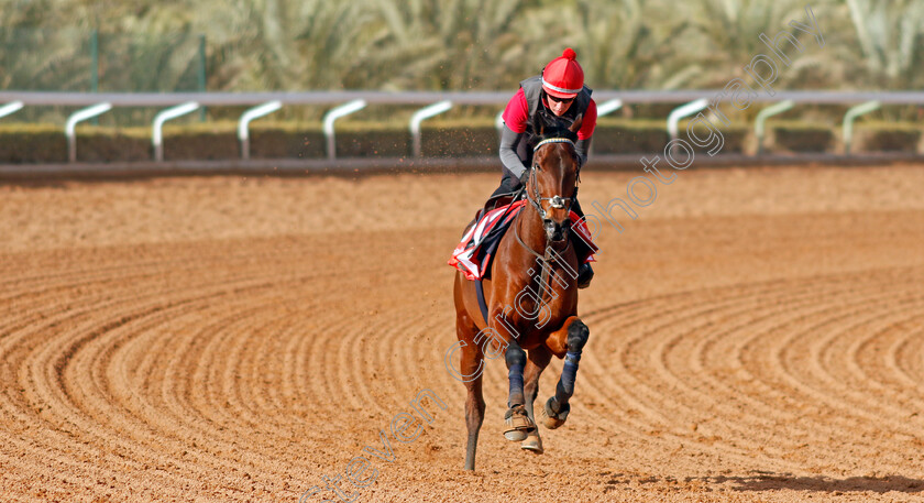 Enemy-0003 
 ENEMY training for The Red Sea Turf Handicap
King Abdulaziz Racecourse, Kingdom Of Saudi Arabia, 23 Feb 2023 - Pic Steven Cargill / Racingfotos.com