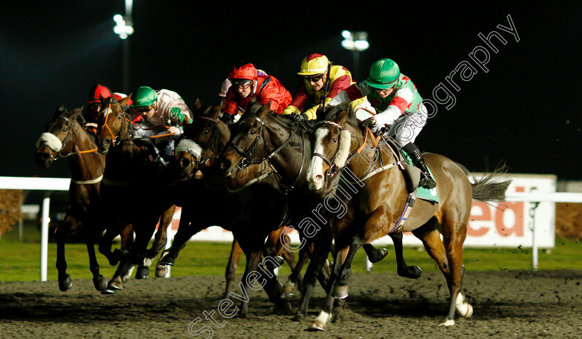 Tigerfish-0003 
 TIGERFISH (Hollie Doyle) wins The 32Red On The App Store Handicap Div2
Kempton 4 Jan 2019 - Pic Steven Cargill / Racingfotos.com