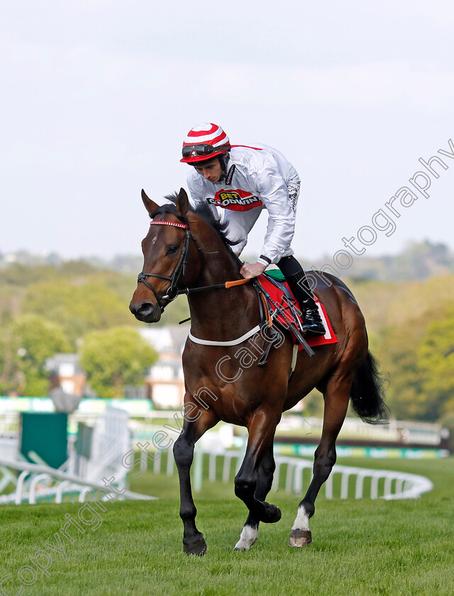 Brioni-0001 
 BRIONI (Rossa Ryan)
Sandown 26 Apr 2024 - Pic Steven Cargill / Racingfotos.com