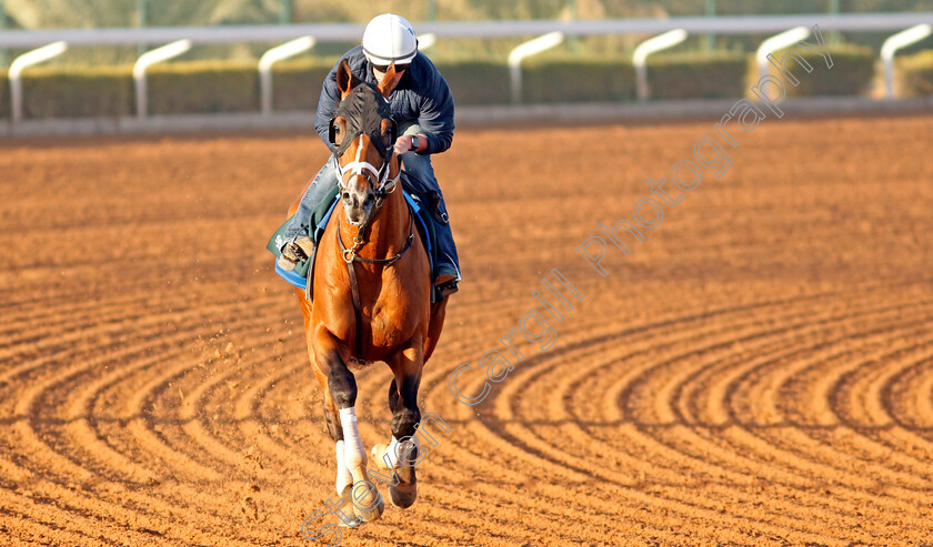 Mandaloun-0009 
 MANDALOUN training for the Saudi Cup
King Abdulaziz Racetrack, Riyadh, Saudi Arabia 22 Feb 2022 - Pic Steven Cargill / Racingfotos.com